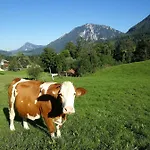 Almbauernhof *