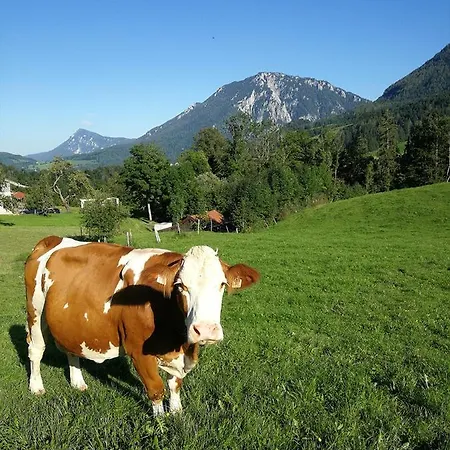 Almbauernhof *