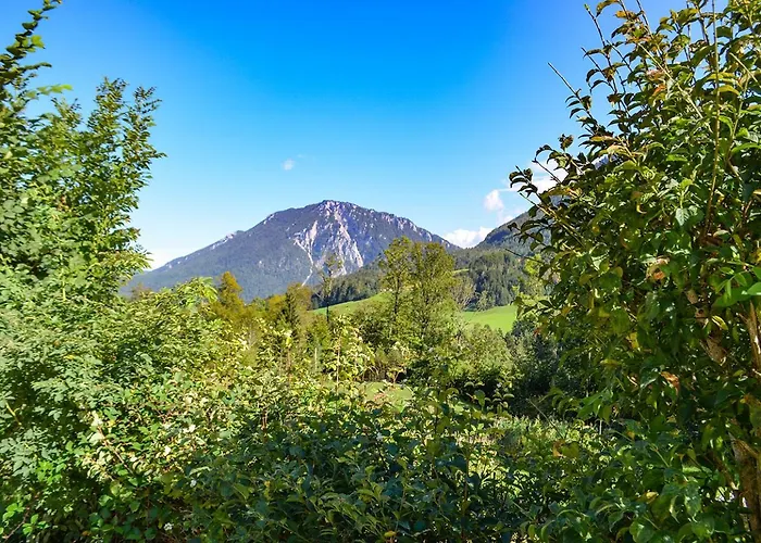 Almbauernhof Apartamento *