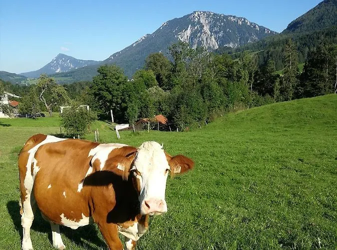 Almbauernhof *